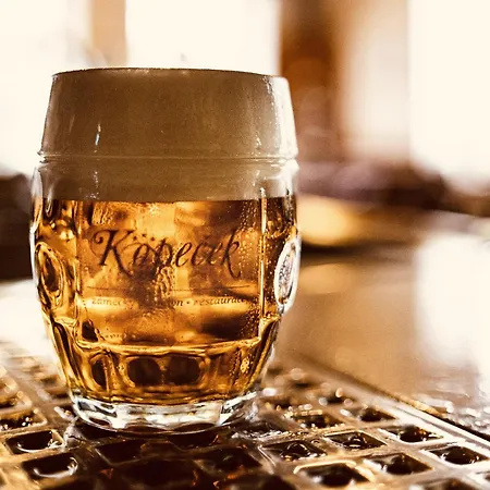 Zamecky Kopecek Maison d'hôtes Rájec-Jestřebí