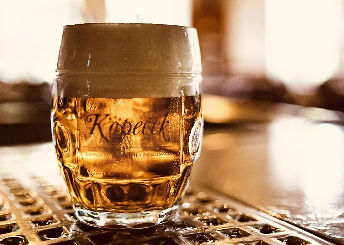 科佩切克扎梅茨基酒店 招待所 Rájec-Jestřebí